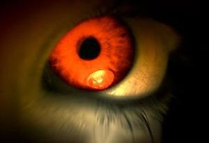 Play Dungeon Nightmares Now