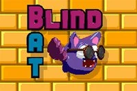  Play Blind Bat Now