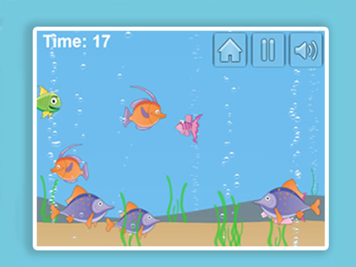 Aqua Challenge Games