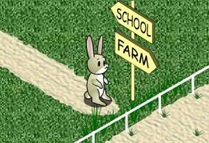 Play Animal 4 Steps Now