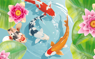 Idle Koi Pond - Similar Game