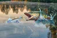 Fish rain العب Fish rain الآن