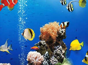 Sea Underwater Difference Games