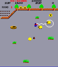 Play Lasso Now -  :xxx - :yyy Game Screenshot