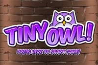 Tiny Owl! Play Tiny Owl! Now