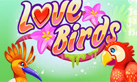 Play Love Birds Now