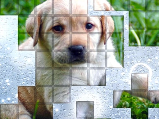 PicPu Dog Games