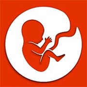 Jouez à E-Life Simulation maintenant