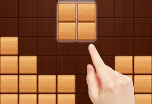 Play Wood Block Puzzle Now