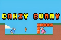 Crazy Bunny Play Crazy Bunny Now