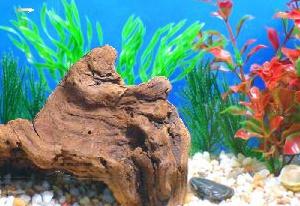 العب Fish Tycoon الآن