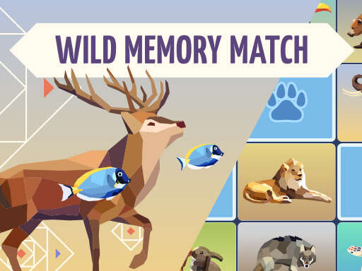 Wild Memory Games