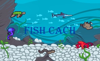 Fish Cach Games