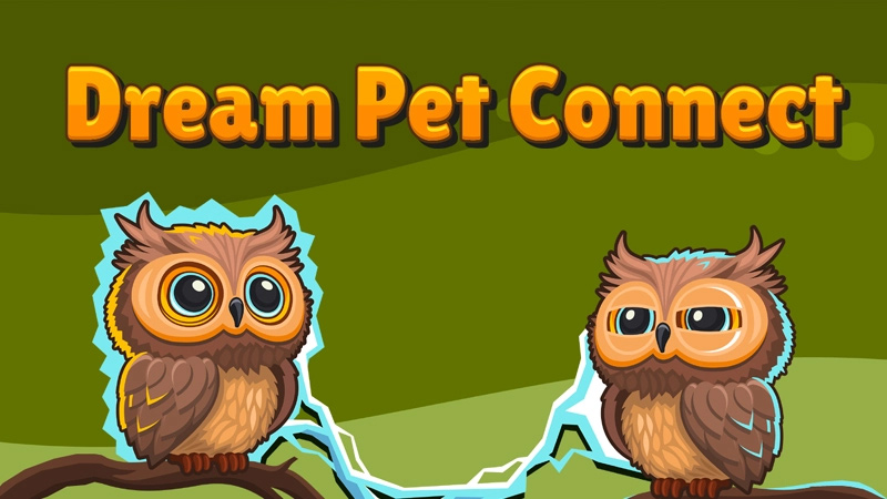 Dream Pet Connect gameplay screenshot