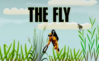 The Fly Games