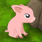Play block the pig Now