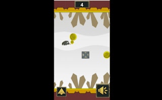 Fly Dodge Games