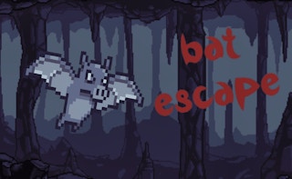 Bat Escape - Free animal Game Like Johnny O Verme