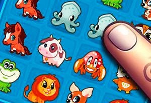 Play Pet Connect Now