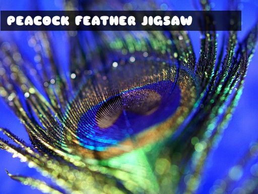 Peacock Feather Jigsaw Games