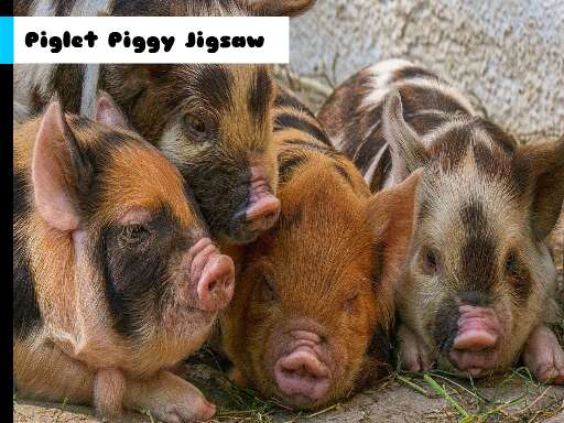 Piglet Piggy Rompecabezas - Free Juegos Gratis en Línea Destacados Basket Game