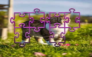 Cat Jigsaw Puzzle Frenzy - Free cats Game Like Cat The Game