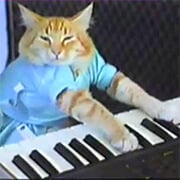 立即玩FNF 对战 键盘猫 -  :xxx - :yyy 游戏截图