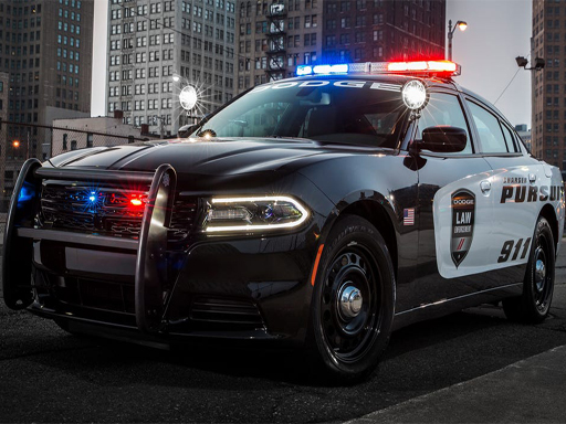 立即玩Police Cars Slide