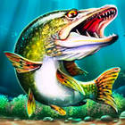 العب lets fish الآن