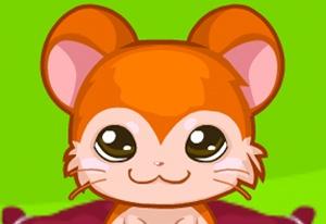 Play Pretty Pet Care Now