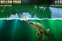 Willow Pond العب Willow Pond الآن