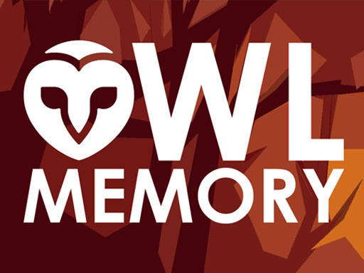 Owl Memory Games