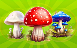 Merge Mushrooms 2048! - Free Games for Casual Game