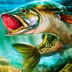 العب مل الصيد الآن -  لقطة شاشة لعبة :xxx - :yyy