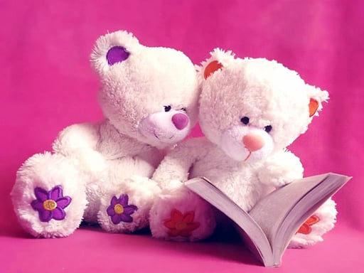 Cute Teddy Bears Slide Games