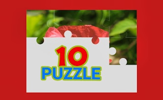 TenPuzzle Games