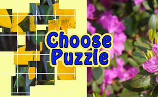 Choose Puzzle Games