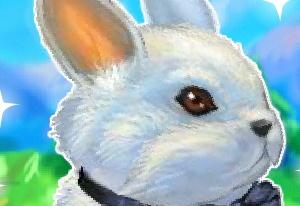 Play My Dear Rabbit Now