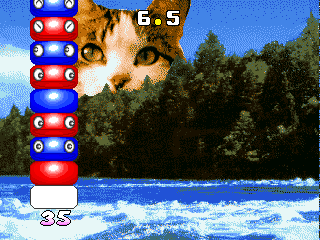 Play Pasha Pasha Champ Mini Game Festival Now -  :xxx - :yyy Game Screenshot