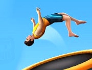 Jouez à Maître du Flip maintenant - 1 Player Capture d'écran de :xxx - Jeu :yyy