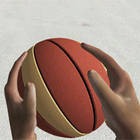 Play basketball simulator Now