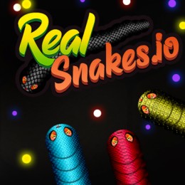 Play Real Snakes.io Now - Crazy :xxx - :yyy Game Screenshot