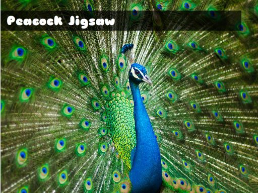 Peacock Jigsaw Games