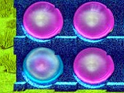 Spiele jetzt 3D Connect 4 -  :xxx – :yyy Spiel-Screenshot
