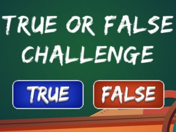 Play True or False Challenge Now True or False Challenge gameplay screenshot