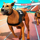 Play crazy dog racing Now