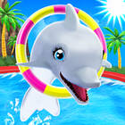 Play my dolphin show 3 Now