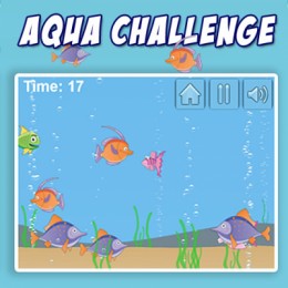 العب Aqua Challenge الآن
