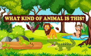 ما نوع الحيوان هذا - Free ألعاب لـ Kids Game