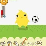 Play Can Your Pet? Now -  :xxx - :yyy Game Screenshot